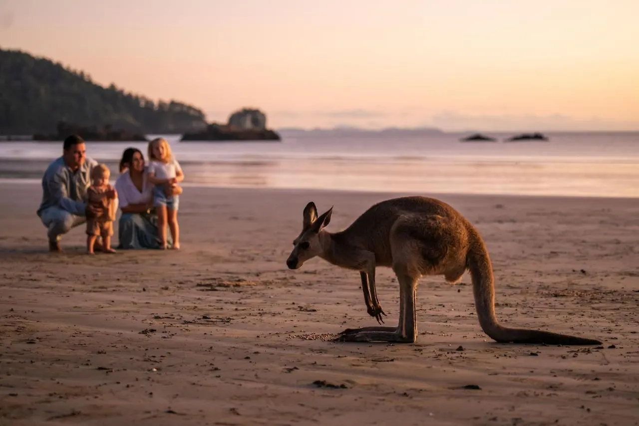Cape Hillsborough Nature Tourist Park Seaforth Australia
